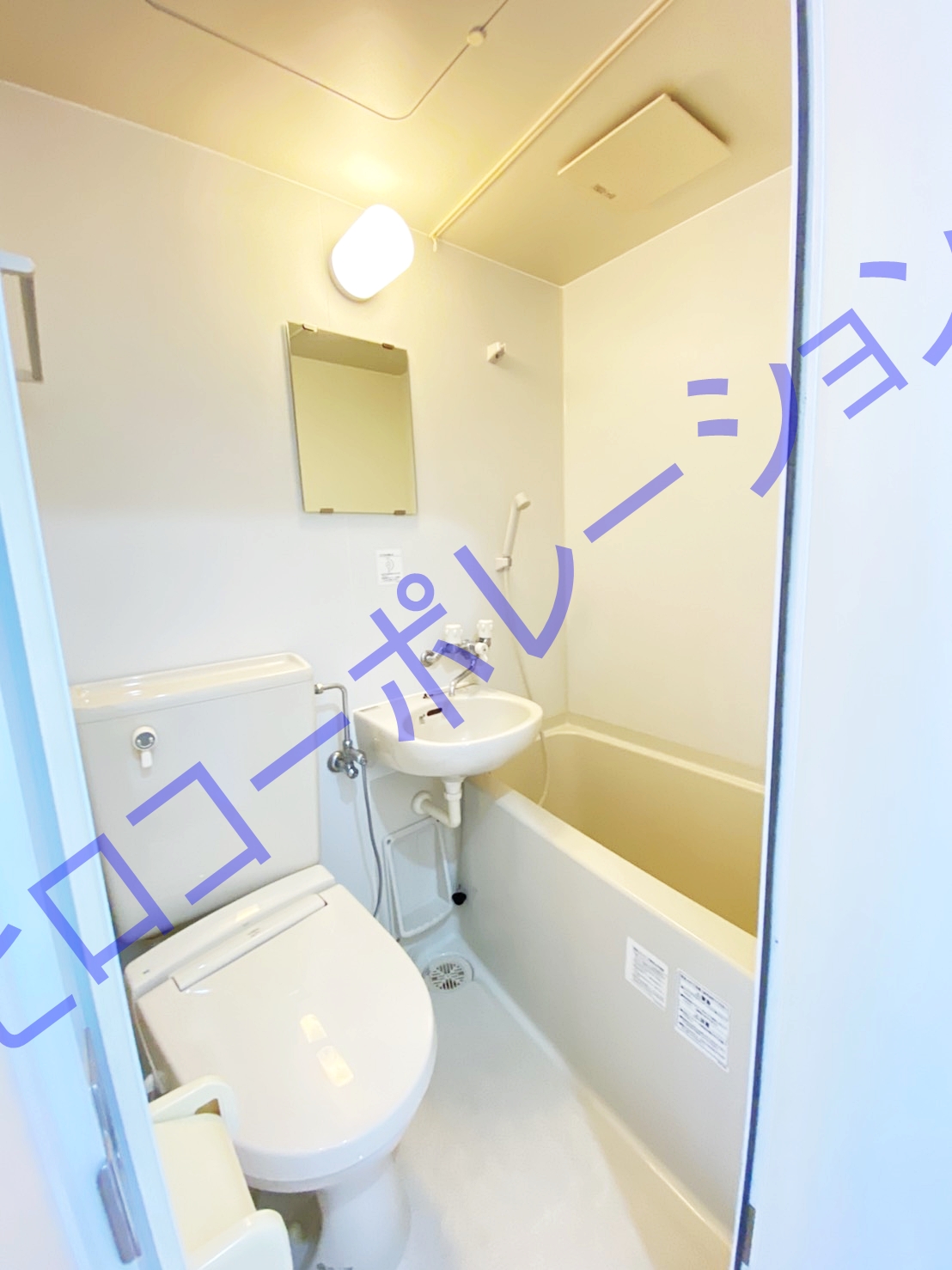 パレドール歌舞伎町第二 5