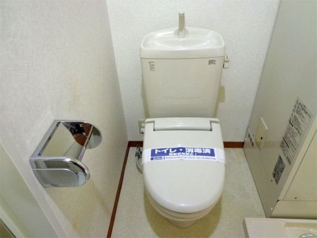 ログラスィン トイレ